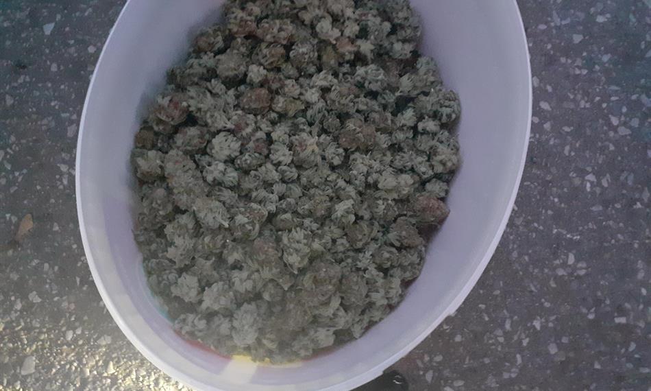 2021-1-25-1140Foto 2.jpg